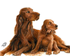 ✿ Dipinto ORIGINALE Ritratto