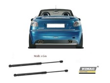 Molle a Gas Pistoncini Portellone Cofano Posteriore per Peugeot 206 2A/C