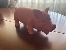 Maialino Grugnino - Gioco per cani. In buone condizioni.