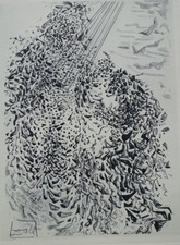 Salvador DALI: Opposizione