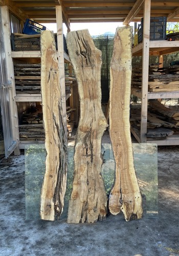 Coppia tavole legno di - di,
