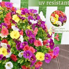 5 Pezzi Gloria Mattutina