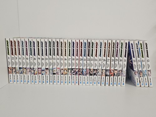Shaman king final edition - shaman,