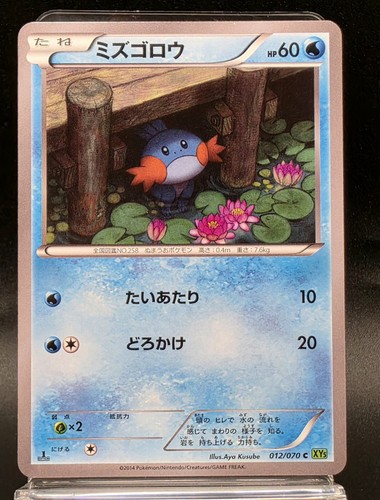 Pokemon card mudkip - pokemon, 012/070