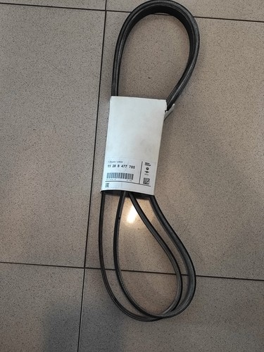 Cinghia alternatore servizy