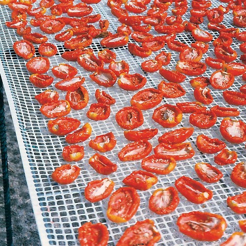 Rete per essiccazione alimenti - rete,