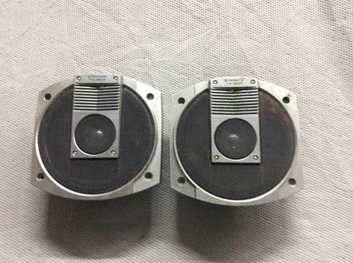 Coppia diffusori portiera