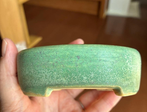 Vaso per bonsai giapponese