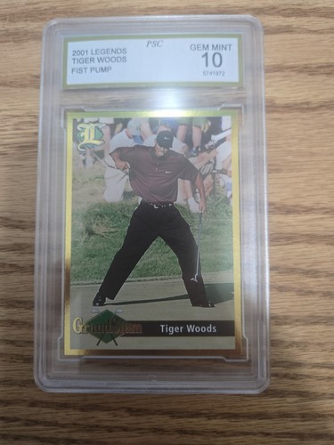 Pompa pugno tiger - tiger, woods