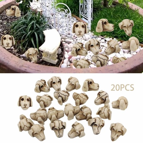 Pezzi mini teschi cane - pezzi,