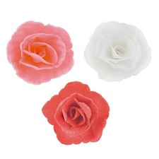 Bocciolo rosa fiore - -, in