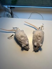 IKEA Rat GOSIG RÅTTA •