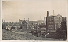 Leek from the park factories - leek,