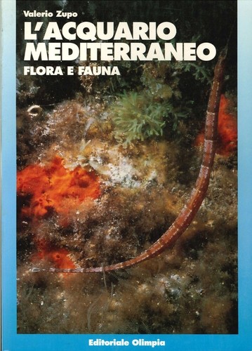 Acquario mediterraneo flora - mediterraneo.,