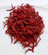 Ramo di corallo rosso naturale