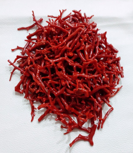 Ramo corallo rosso naturale - corallo,