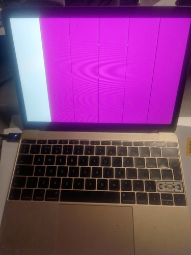 Apple macbook a1534 - apple,