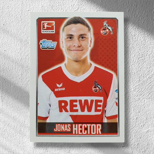 Jonas hector adesivo - hector,