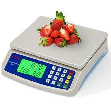 Bilancia Professionale per