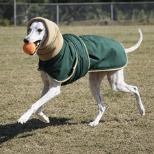 Giacca cane collo alto caldo