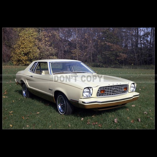 Photo 011451 ford mustang - ford,