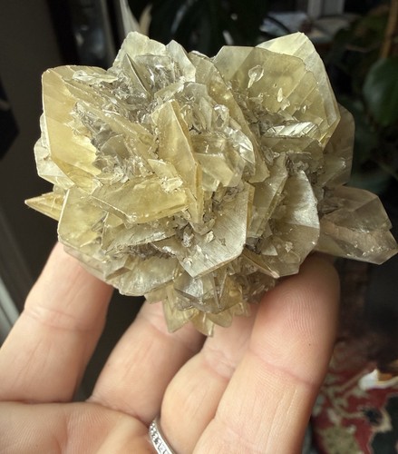 Gesso var selenite dorata - gesso,