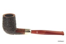 Pipa Santambrogio rusticata -