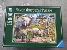 RAVENSBURGER AT THE WATERHOLE