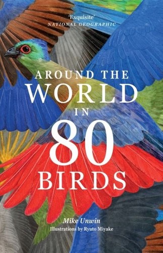 Around the world - around, 80