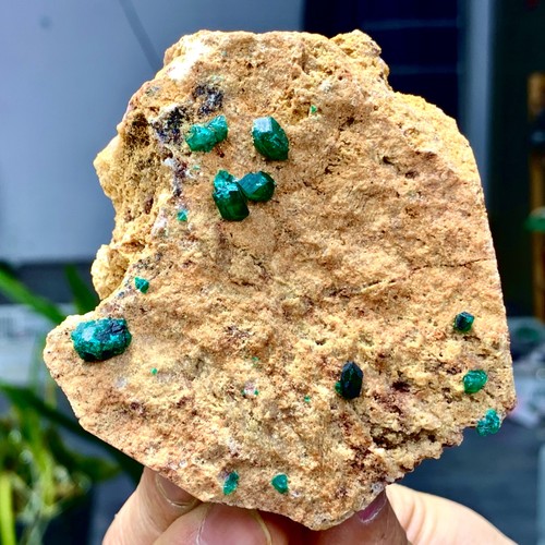 148g dioptasi verde - verde, naturale