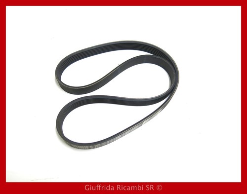 Cinghia poly fiat brava - cinghia, v