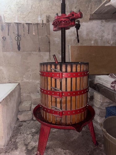 Torchio per uva leva - leva, 50