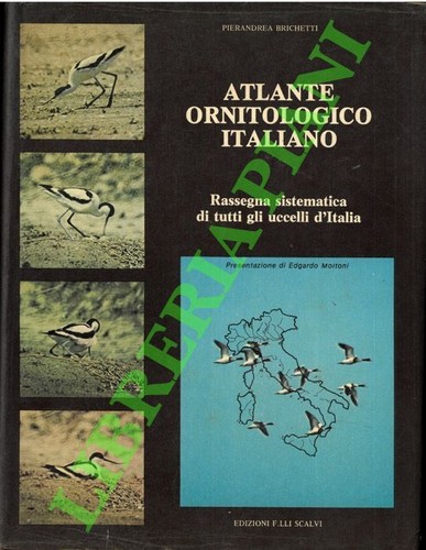 Brichetti atlante - brichetti,