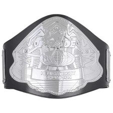 PRIDE Heavyweight Wrestling Champion 2MM / 4MM Replica Title Belt