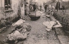 dt141 cartolina palmi