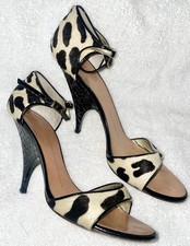 Designer Giuseppe Zanotti