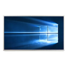 Sony VAIO PCG-91311M LCD Display 17.3" HD+ Screen Schermo **NUOVO**