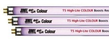 Neon T5 High-Lite Colour JUWEL
