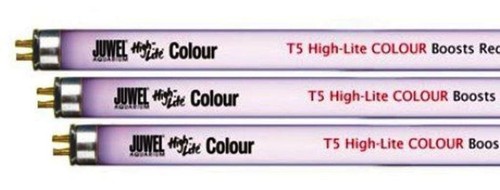 Neon high lite - t5, high-lite