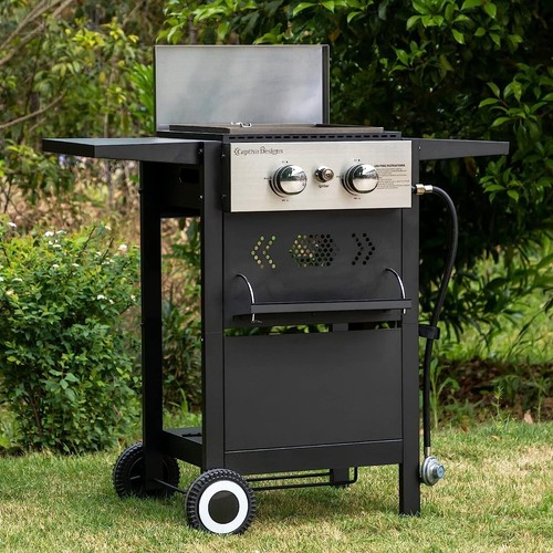 Barbecue gas propano 2 - gas,