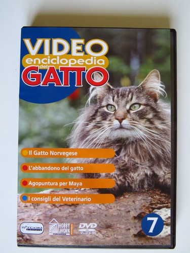 Video enciclopedia del gatto - enciclopedia,