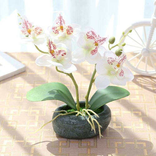Per decorazione matrimonio - decorazione, e