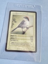 Life tcg birds antioquia - life,
