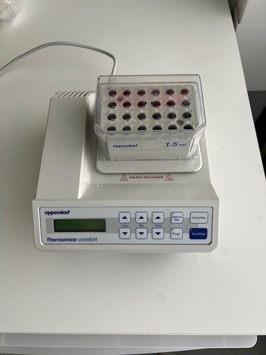 Thermomixer eppendorf comfort - thermomixer,