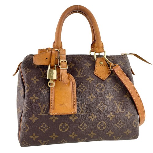 Borsa mano louis vuitton - borsa,
