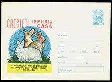 1966 Allevamento conigli