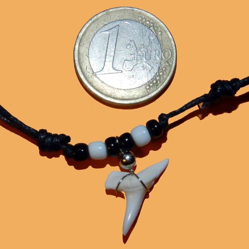 Collana dente squalo pescecani - collana,