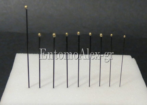 Spilli entomologici black - spilli,
