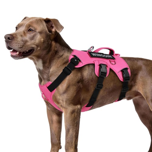 Imbracatura per cani - per, a