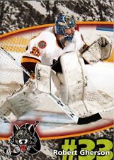 Robert Gherson 2007-08 Chicago Wolves